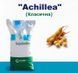 Соя Achillea (Классическая)