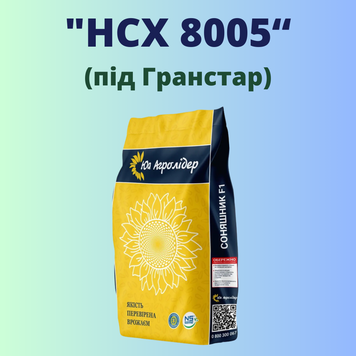 Фотография - Подсолнечник "НС Х 8005" (под Гранстар)