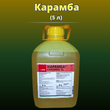 Фотография - Фунгицид Карамба