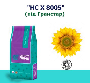 Соняшник "НС Х 8005" (Під Гранстар)