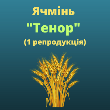 Ячмінь "Тенор"