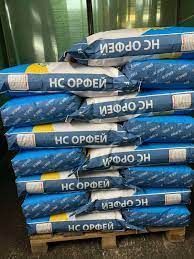 Фотографія - Соняшник "НС Орфей" (Традиційний)