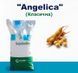 Соя Angelica (Классическая)