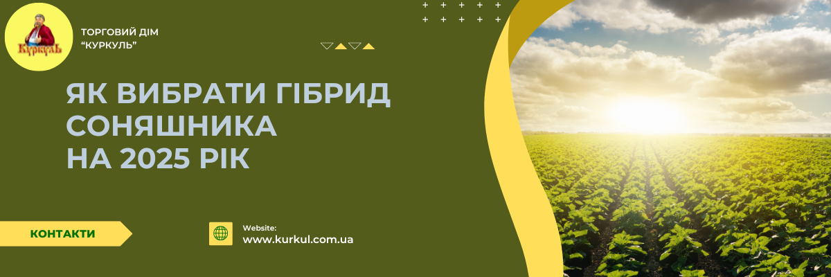 Як правильно вибрати насіння соняшника на 2025 рік?