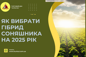 Як правильно вибрати насіння соняшника на 2025 рік?