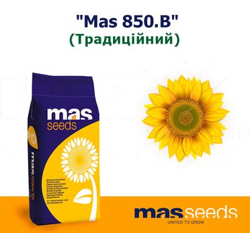 Соняшник "Mas 850.B" (Класичний)