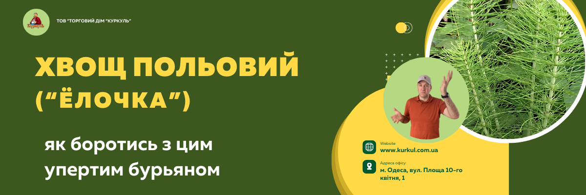 Хвощ польовий: як ефективно боротися із цим упертим бур’яном