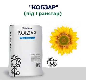 Подсолнечник "КОБЗАР" (под Гранстар)