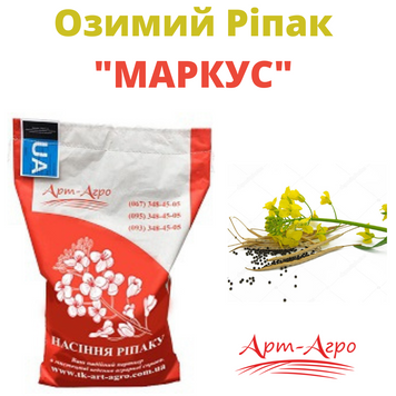 Семена Рапса "Маркус"