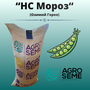 Озимий горох "НС Мороз" (1 тона)
